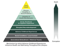 The ACE Pyramid represents the conceptual framework for the ACE Study, which has uncovered how adverse childhood experiences are strongly related to various risk factors for disease throughout the lifespan, according to the Centers for Disease Control and Prevention. Recent research suggests early death is not an inevitable outcome of ACEs. Weems and colleagues have proposed an alternative Pyramid that emphasizes potential resilience following ACEs. ACEs Pyramid.png