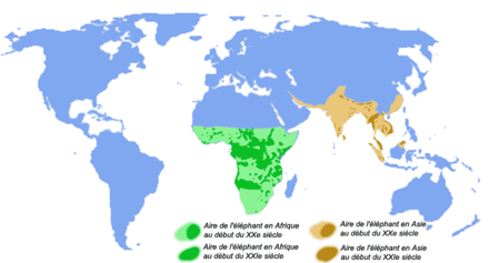 Carte du monde montrant la réduction des populations d'éléphants entre le début du XXe siècle et le début du XXIe : en vert l'aire de répartition de l'éléphant d'Afrique (plus de la moitié inférieure du continent africain au départ, taches restantes couvrant en gros moins d'1/3) et en ocre l'aire de l'éléphant d'Asie (toutes l'Inde et une bonne partie de l'Asie du sud au départ, quelques rares taches restantes)