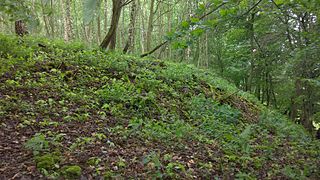 stark abfallender Wall zur Talseite, Nordwestseite (Richtung Beerbach)