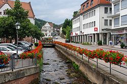 Skyline of Bad Herrenalb