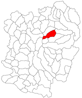 Kaart van Bucoșnița