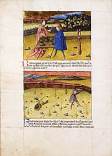 Codex Granatensis. Tacuinum Sanitatis (Ibn-Butlán). Miniaturas.