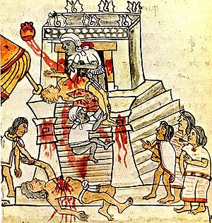 Aztec ritual human sacrifice portrayed in the ...