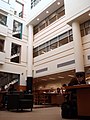 Mann Library Interior