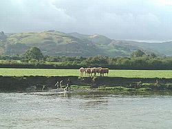 A Dyfi folyó Machynllethtől délre