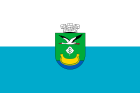 Flag of Darnytsia district.svg
