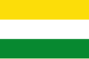 Guacarí – Bandiera