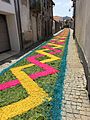 Alfombras florais en Caminha