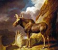 The Moose, 1773