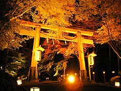 Torii am Momiji Matsuri Abend (Ahorn Festival)