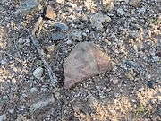 Hohokam pottery sherd in the Tucson Basin. Notice the distinctive red paint.