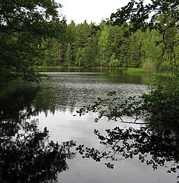 Jaktstusjön