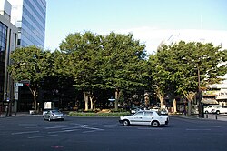 夏の定禅寺通 － 春日町交差点（晩翠通との交差点）から東方向（2005年8月）