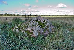 Cult stone in Jõgisoo