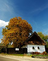 Traditional residential house in Abasár