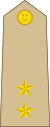 Libya-Army-OF-1b.svg