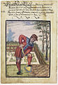 Un giardiniere al lavoro, 1607
