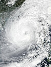 衛星画像 （10月31日5時）