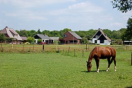 Hynders yn in greide mei op de eftergrûn huzen fan Noordbarge