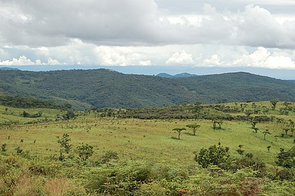 پارک ملی نییکا.