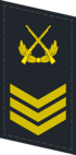PLANF-Collar-0708-2CSGT.png