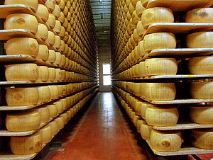 A factory of Parmigiano-Reggiano. There are tw...