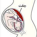 تصویر بندانگشتی از نسخهٔ مورخ ‏۱۴ فوریهٔ ۲۰۲۲، ساعت ۱۵:۱۰