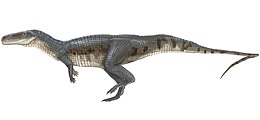 A Poposaurus gracilis rekonstrukciója