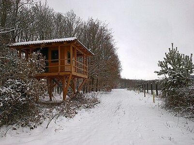 Pozorovatelna zvěře u Zámečku