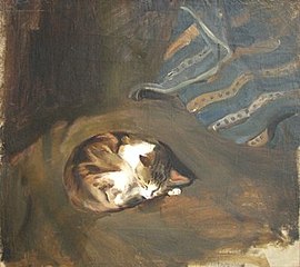 Sleeping cat (1908)