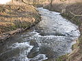 Der Rethlager Bach vor Einmündung in die Werre