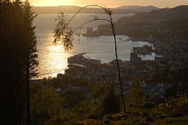 Sandviken, sett fra Breistølen.