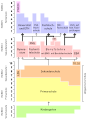 Vorschaubild der Version vom 12:07, 7. Nov. 2008