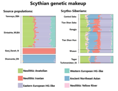 Genetic makeup of Bronze and Iron Age Steppe populations