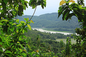 Serayu River