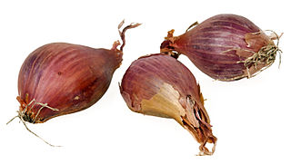 http://upload.wikimedia.org/wikipedia/commons/thumb/5/53/Shallots-Whole.jpg/320px-Shallots-Whole.jpg