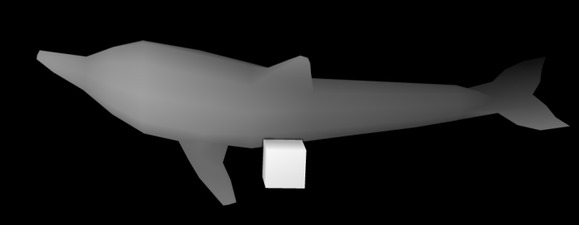 Vue de face du dauphin, avec le cube placé au centre, dans laquelle les objets sont colorisés en nuances de gris en fonction de leur distance à l'observateur.