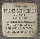 Stolpersteine Bodenheim Schneider Franz.jpg