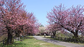 守山城跡