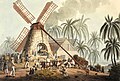 Esclaves faisant broyer la canne à sucre dans un moulin à vent d'Antigua (1823)