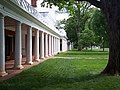 توماس جفرسون دیگر بنیان‌گذار مهم و اصلی تاریخ کشور آمریکا است. اما او یک مخترع و معمار چیره دست نیز بود به‌طوری‌که طرح اولیه دانشگاه ویرجینیا از اوست، که امروزه یکی از ۲۳ اماکن میراث جهانی یونسکو در امریکا است.