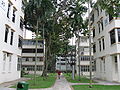 Tiong Bahru, Lim Liak Street