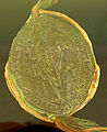 Le sceau de Gérard II daté de 1240