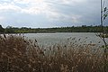 Wien-Favoriten, Wienerberg-Teich