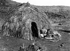 Apache Wickiup, 1903