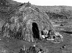 Apache wickiup, by Edward S. Curtis, 1903