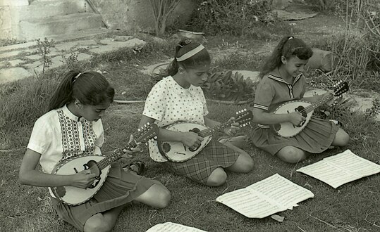 צילום 7 בכתבה