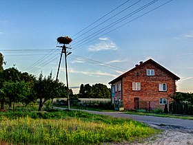 Sokołówek (Mazovie)