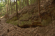 Bild 4: Felsen mit Bearbeitungsspuren im südwestlichen Grabenbereich