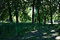 „Woodland Burial Area“ auf einem Friedhof in London (UK)